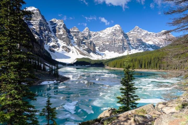 Beautiful Newly Reno 2Bdm 2 Bth Sleep Up To 6 Adults & Kids Mountain View Townhouse Suite Canmore Eksteriør billede