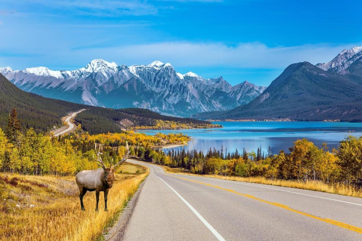 Beautiful Newly Reno 2Bdm 2 Bth Sleep Up To 6 Adults & Kids Mountain View Townhouse Suite Canmore Eksteriør billede